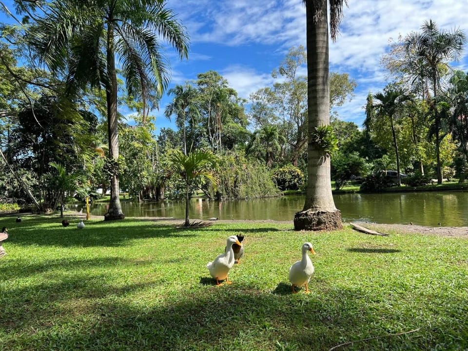 Private Room, 10 Min from Airport Apartment in San Pedro Sula