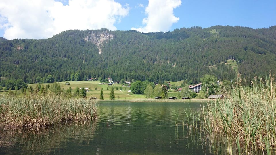 Haus Alpina Apartment in Carinthia, Austria