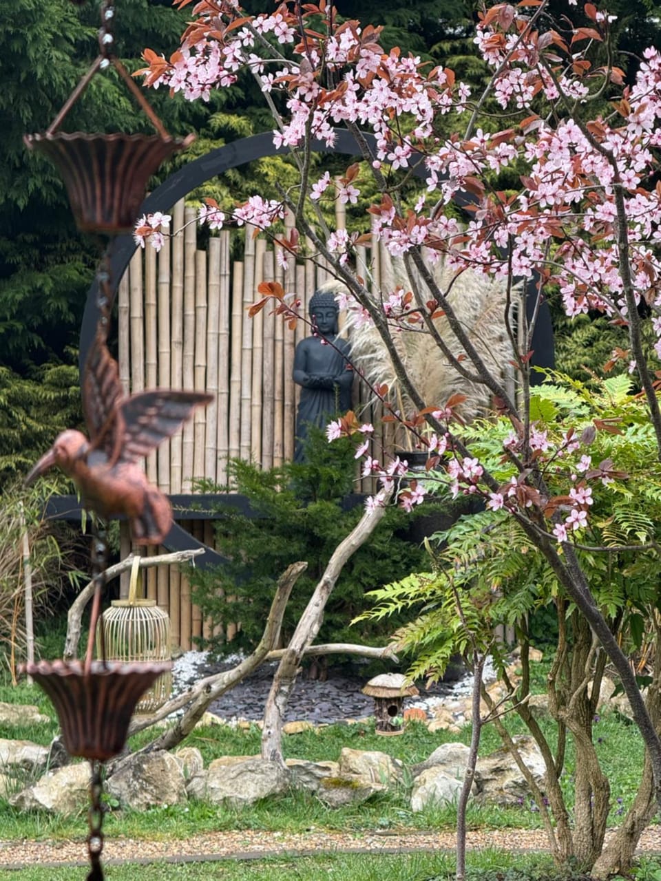 Garden view