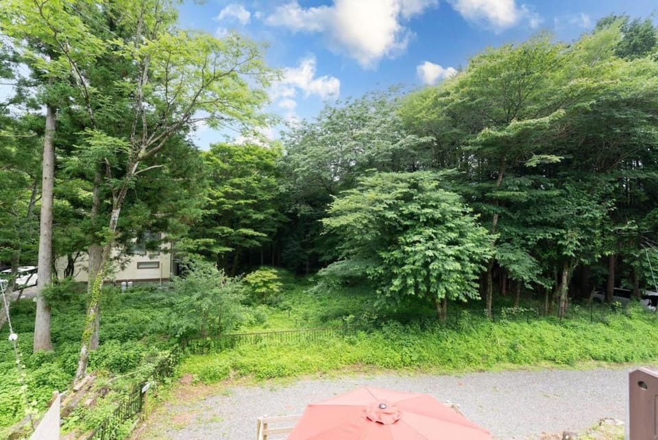 Green Oasis Cottage B Apartment in Hakone