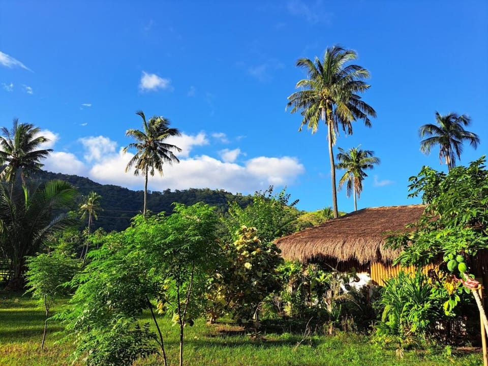 Hulo Farmstay near Puerto Galera House in Puerto Galera