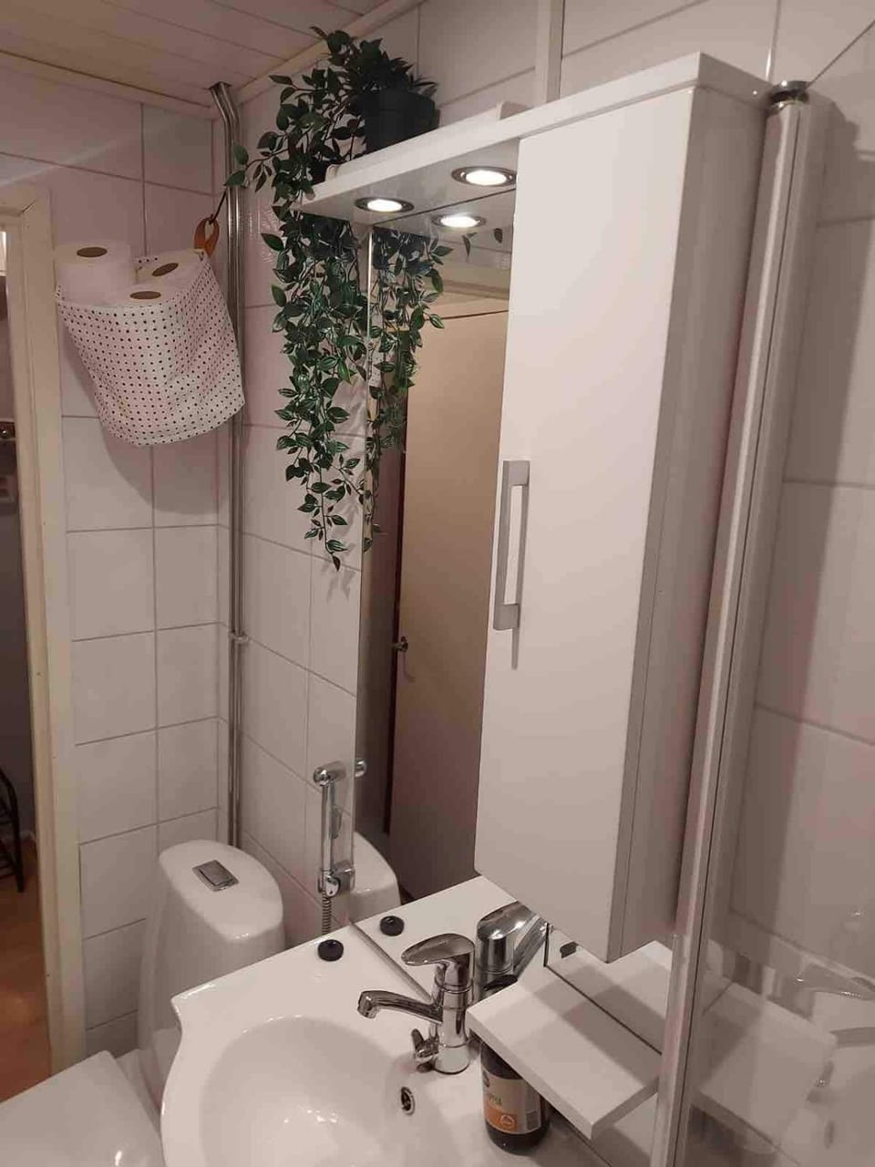Toilet, Bathroom