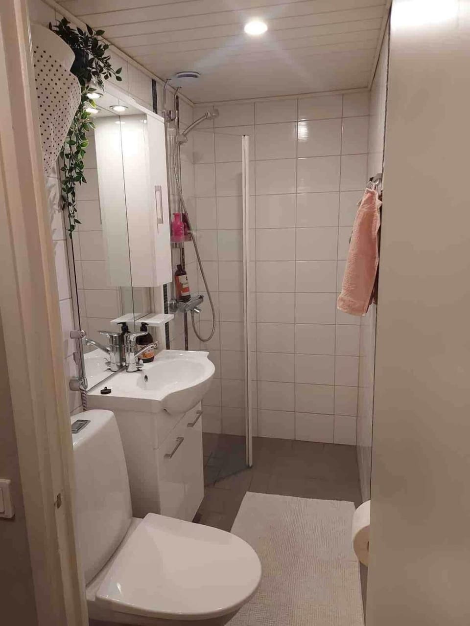Shower, Toilet, Bathroom
