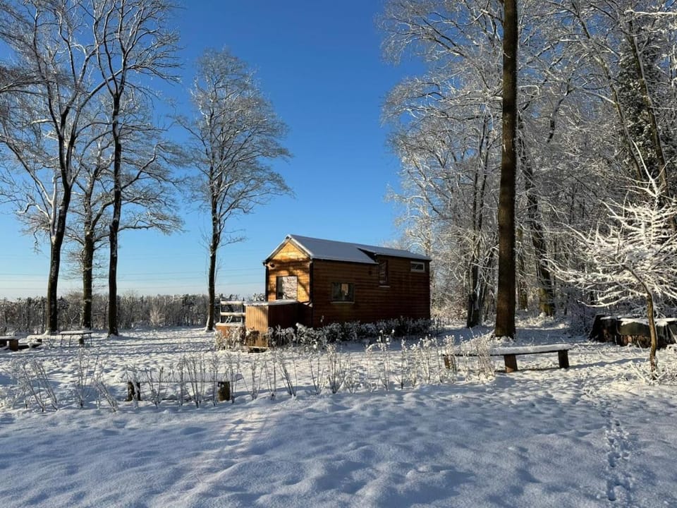 Tiny House Malou Chalet in Wallonia, Belgium
