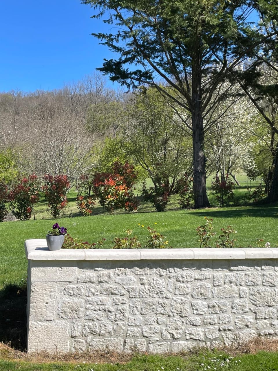 Garden, Balcony/Terrace