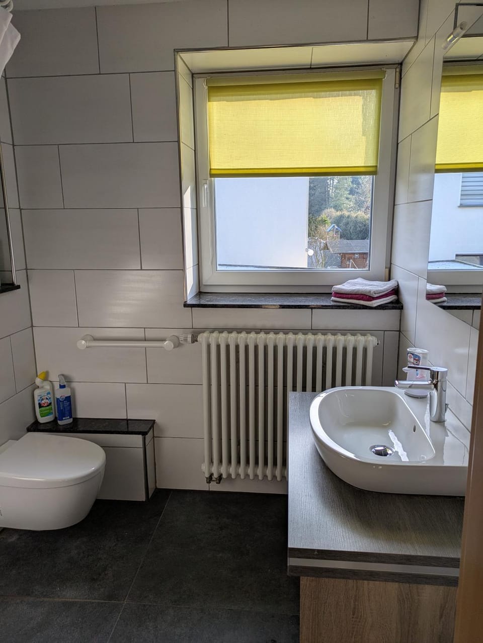 Toilet, Bathroom
