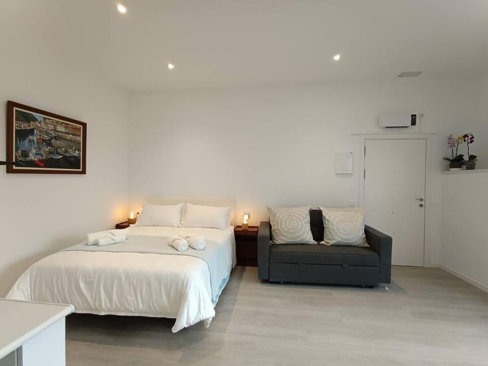 Apart Onak 1 -1cama y 1sofácama - parking gratis Apartment in Basque Country