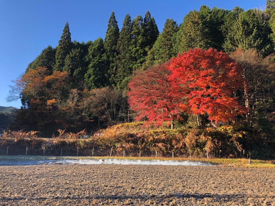 古民家アドベンチャー Campground/ 
RV Resort in Aichi Prefecture