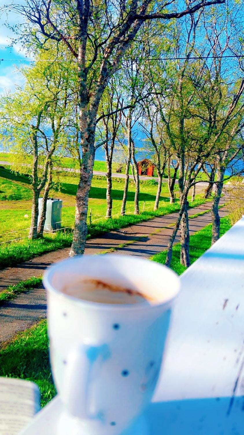 Natural landscape, Garden, Garden view