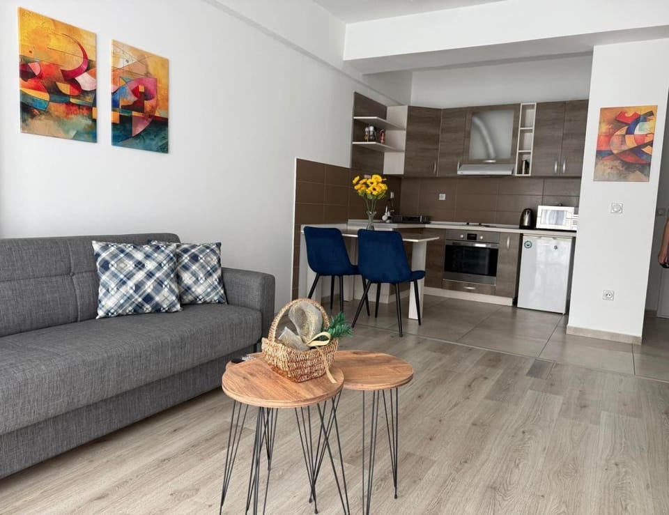 Cozy Downtown Apartment Apartment in Skopje