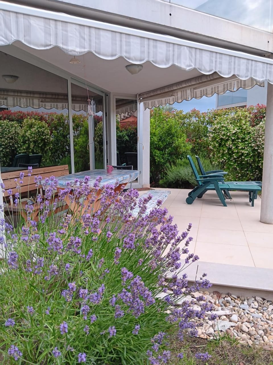 Garden view