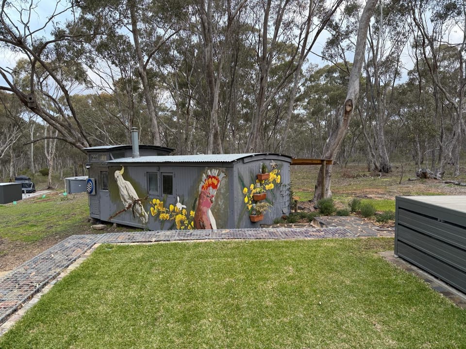 Natural landscape, Garden, Garden view