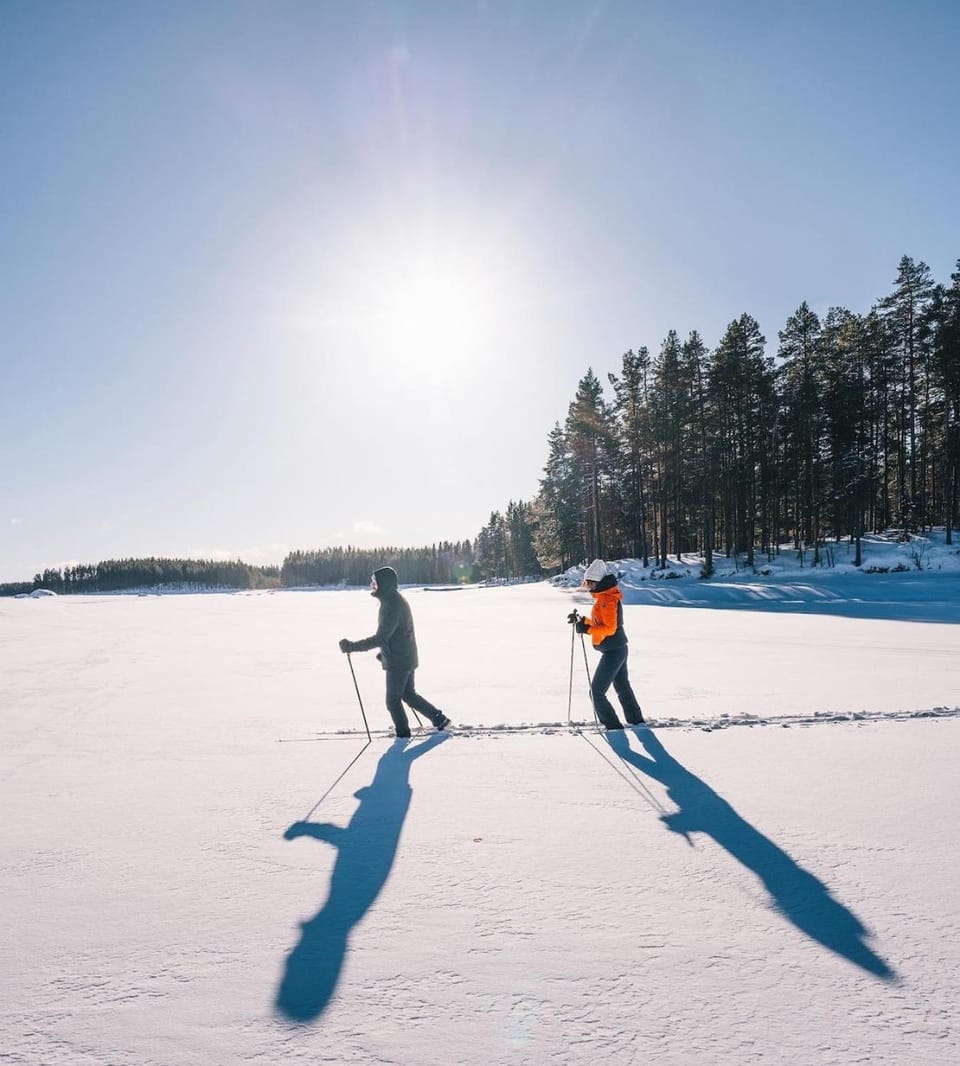 People, Natural landscape, Winter, Skiing, group of guests