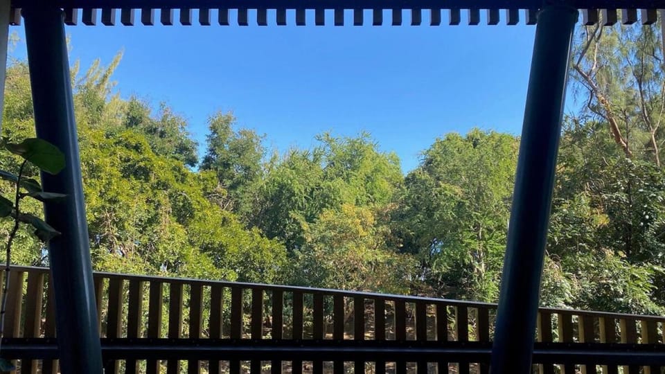 View (from property/room), Balcony/Terrace