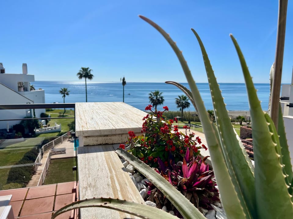 Spring, Day, Natural landscape, Garden, Garden view, Sea view