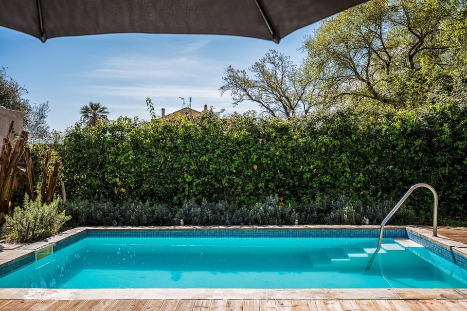 Natural landscape, Garden, Garden view, Pool view, Swimming pool