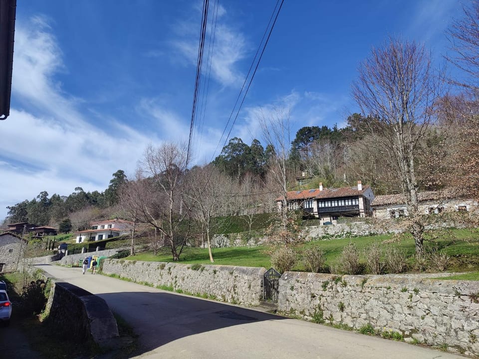 Day, Neighbourhood, Natural landscape, Street view