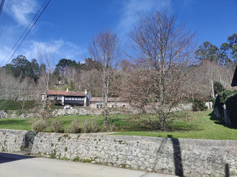 Day, Natural landscape, View (from property/room)