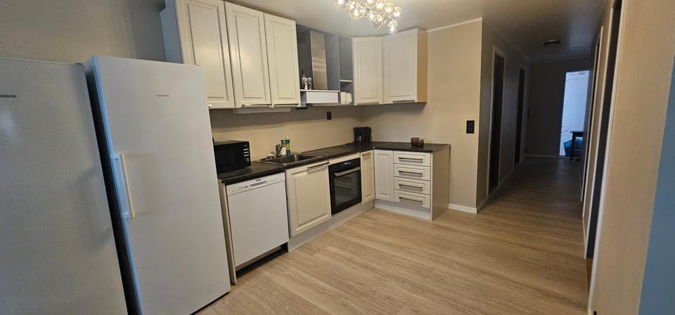 Kitchen or kitchenette, dishwasher, oven