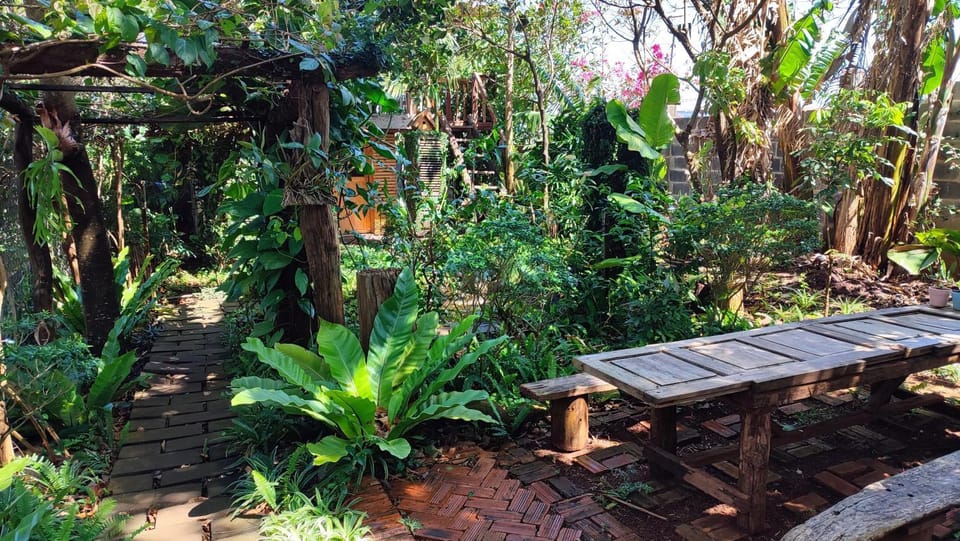Natural landscape, Children play ground, Garden, Garden