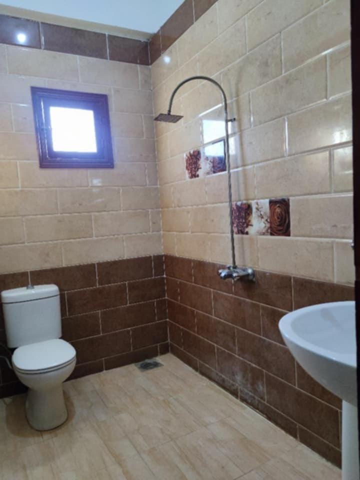Share house Apartment in Egypt
