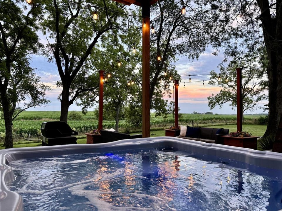 2 acre private wellness retreat with sauna, hot tub and outdoor games House in Illinois