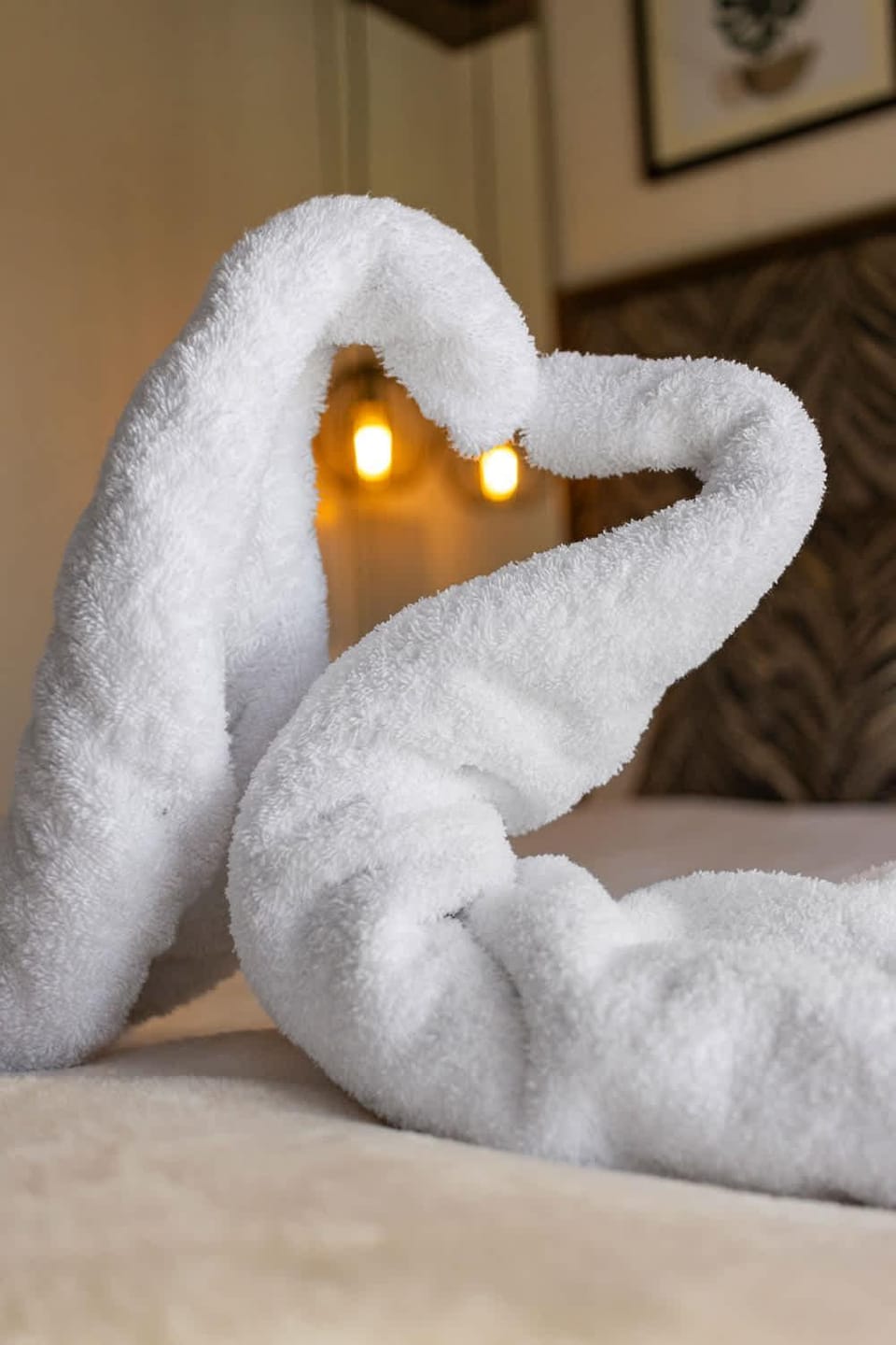 Bed, TV and multimedia, Decorative detail, Decorative detail, Bedroom, Pets, internet, internet, pet friendly, towels