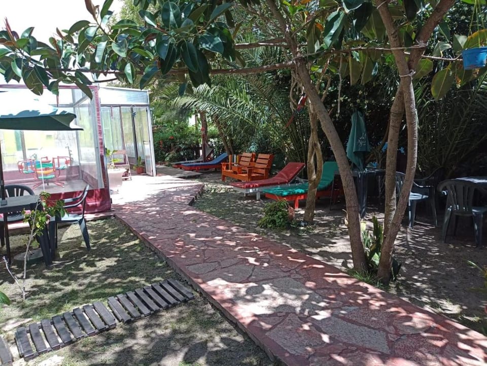 Patio, Garden, Balcony/Terrace