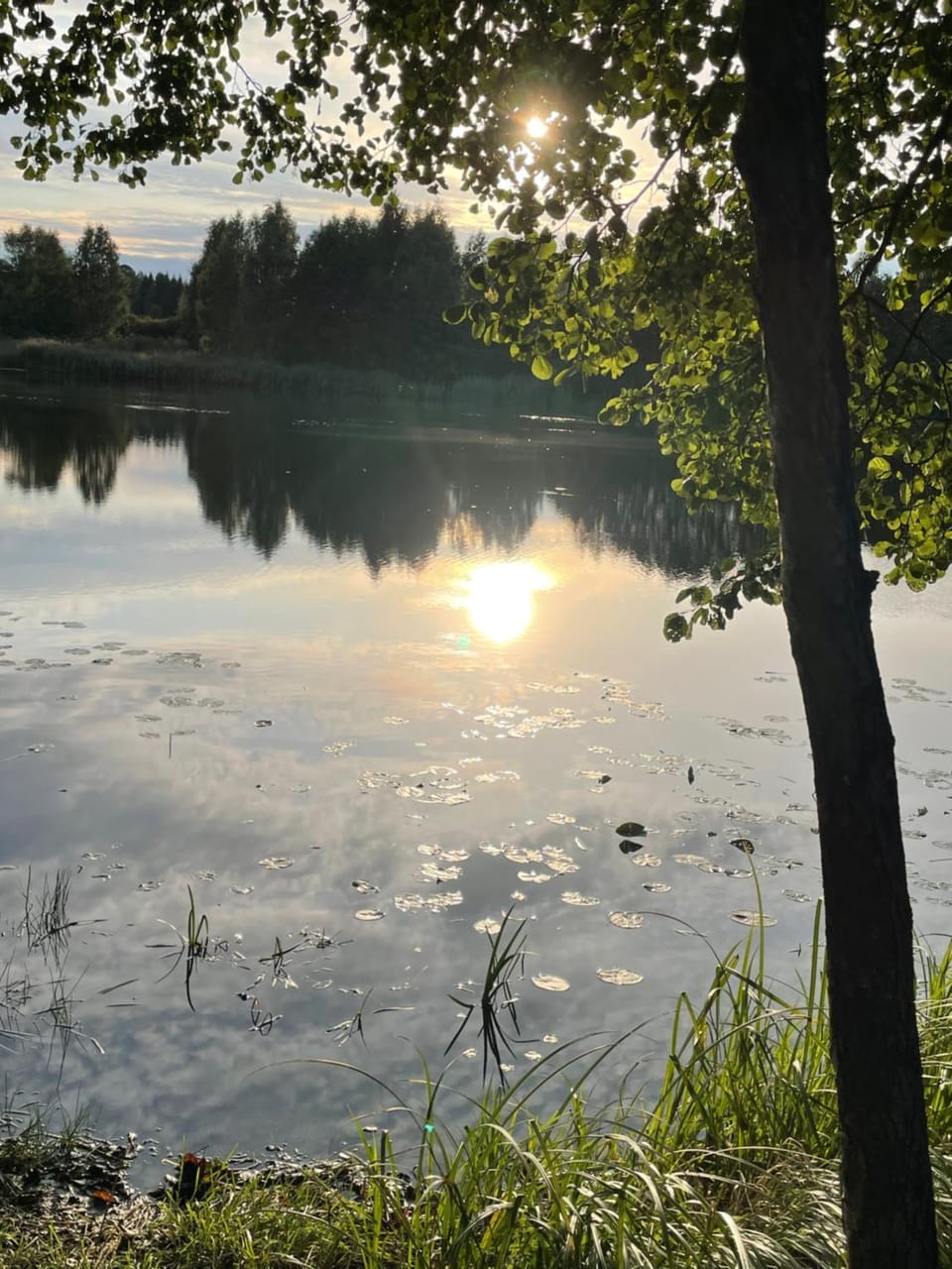 Fishing, Lake view
