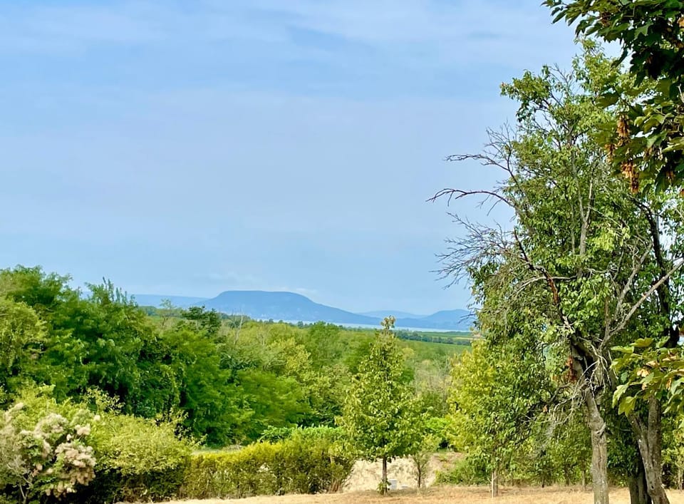 TerraVino Retreat at Lake Balaton Villa in Hungary