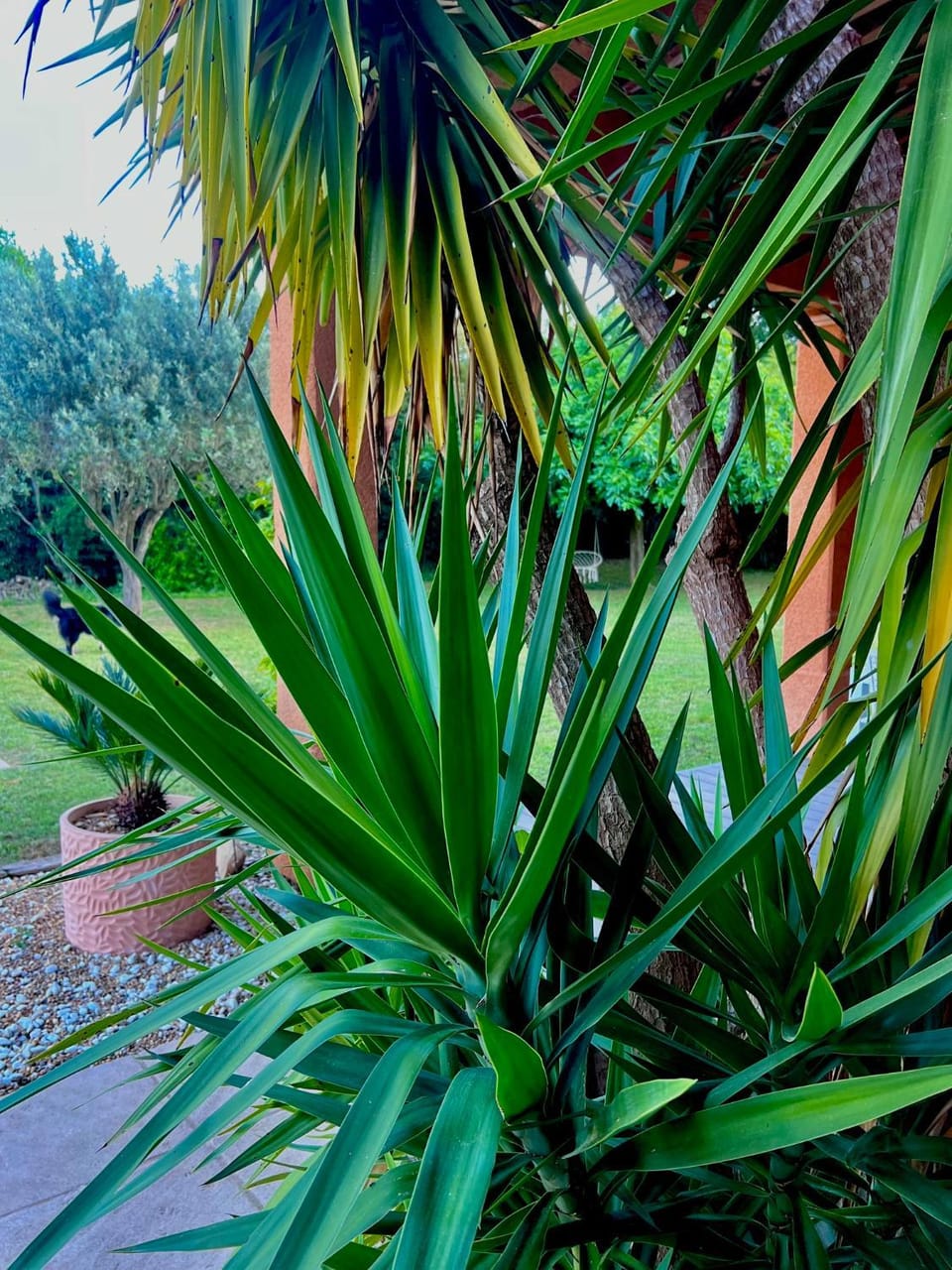 Superbe villa 10 personnes avec piscine Villa in Sainte-Maxime