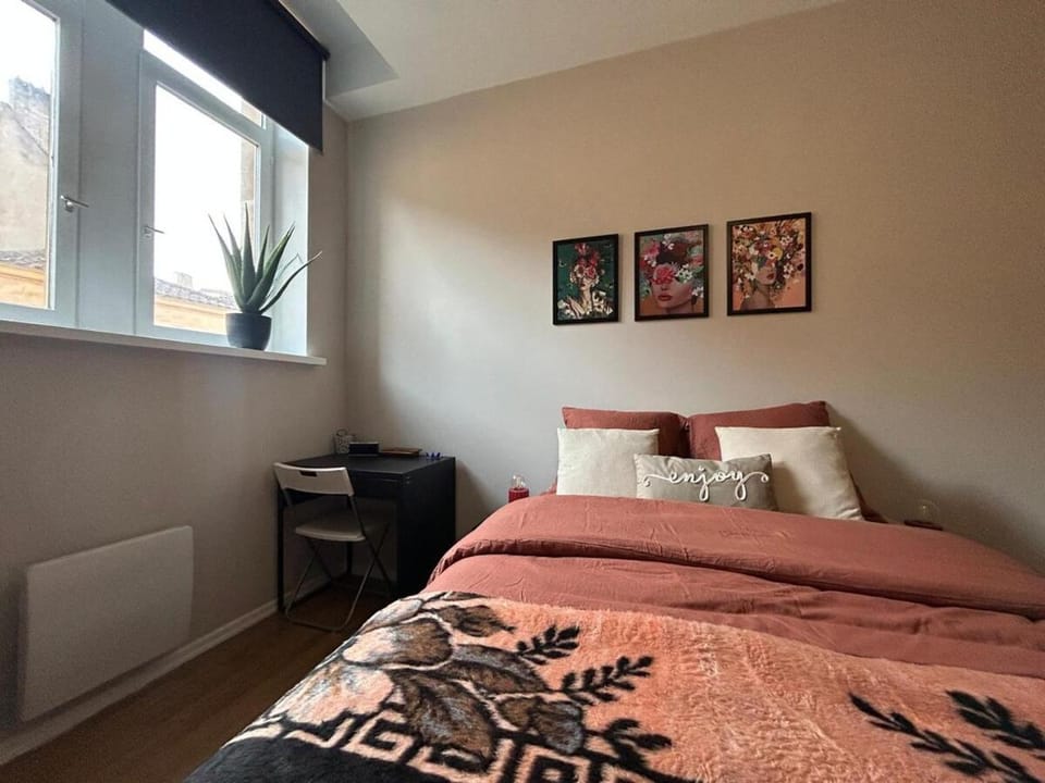 Lumineux & Cosy, Hyper Centre Metz Apartment in Metz