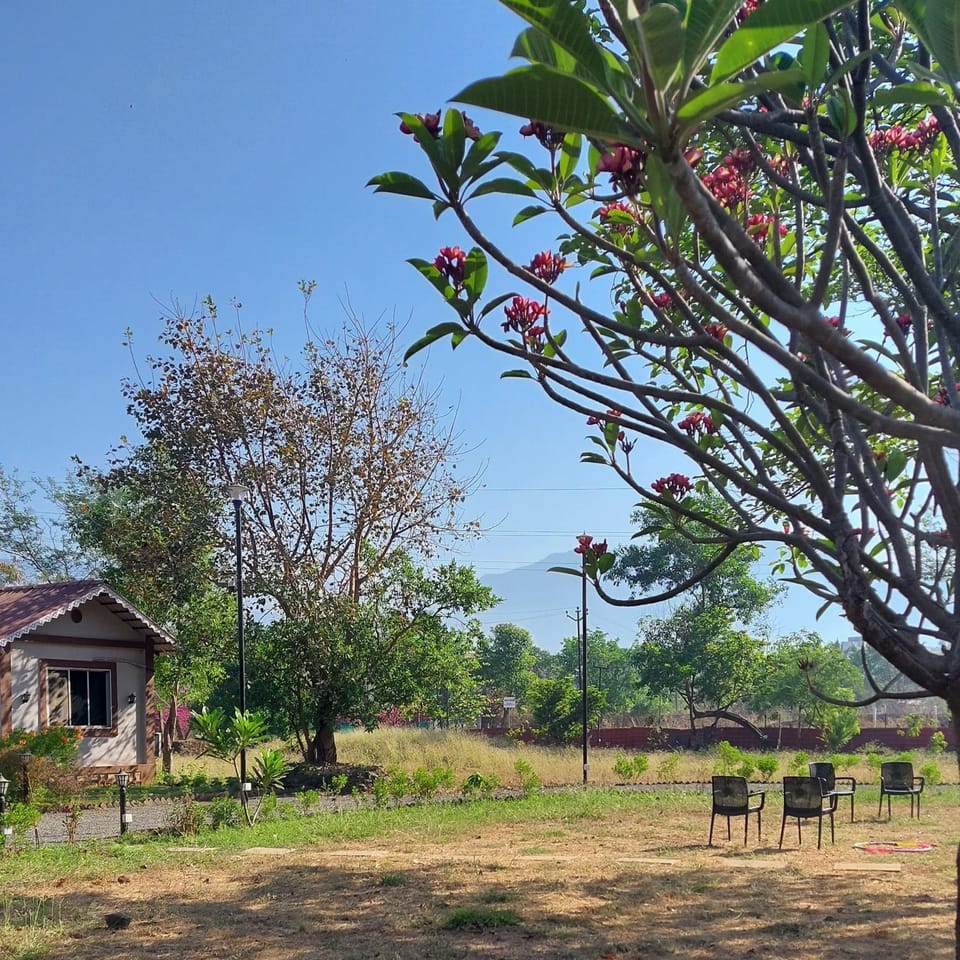 Natural landscape, Garden, Garden, Garden view