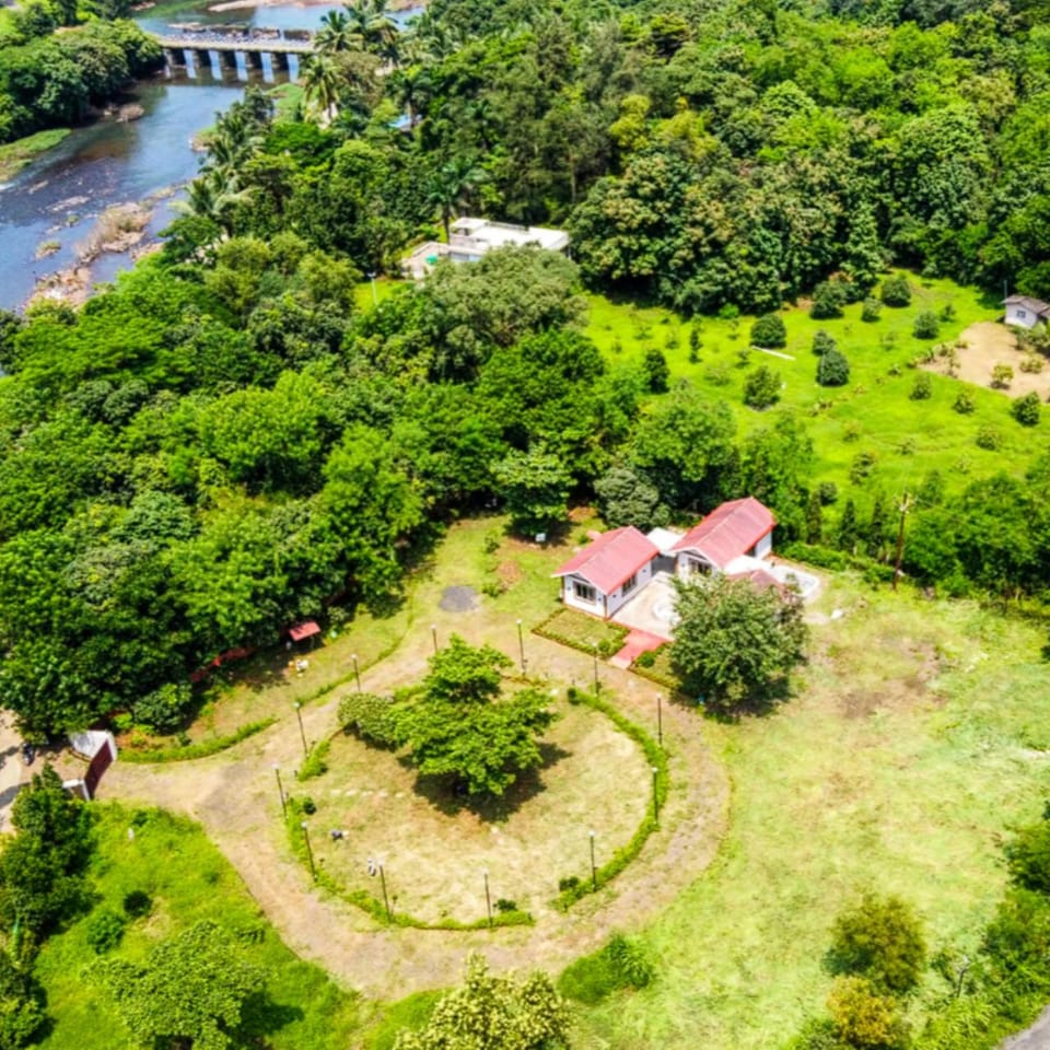 Natural landscape, Bird's eye view, Garden, River view
