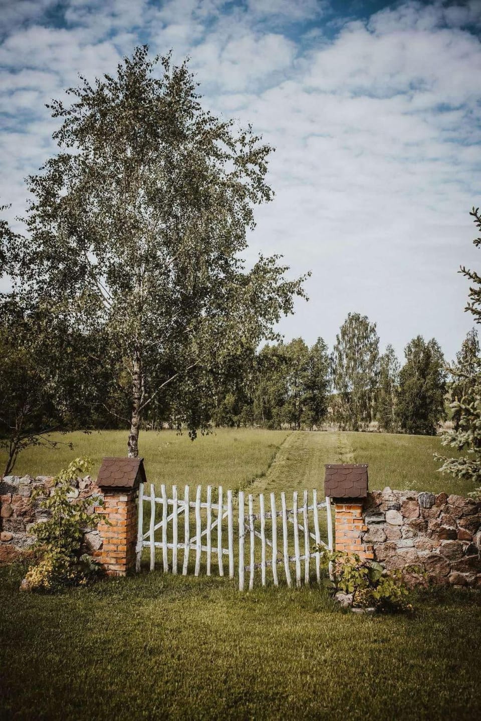Natural landscape, Garden