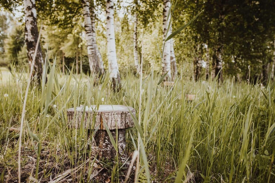 Natural landscape