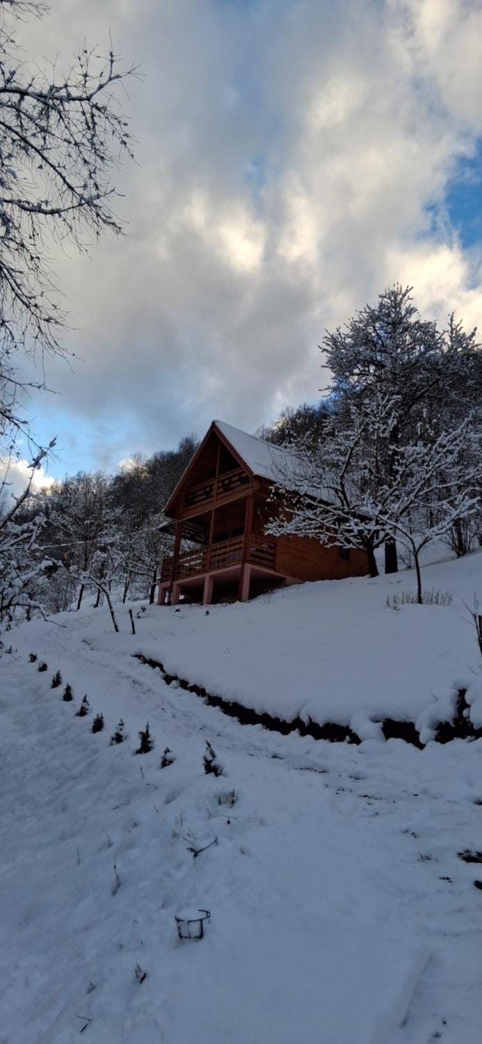Cabana Ulmului Nature lodge in Romania