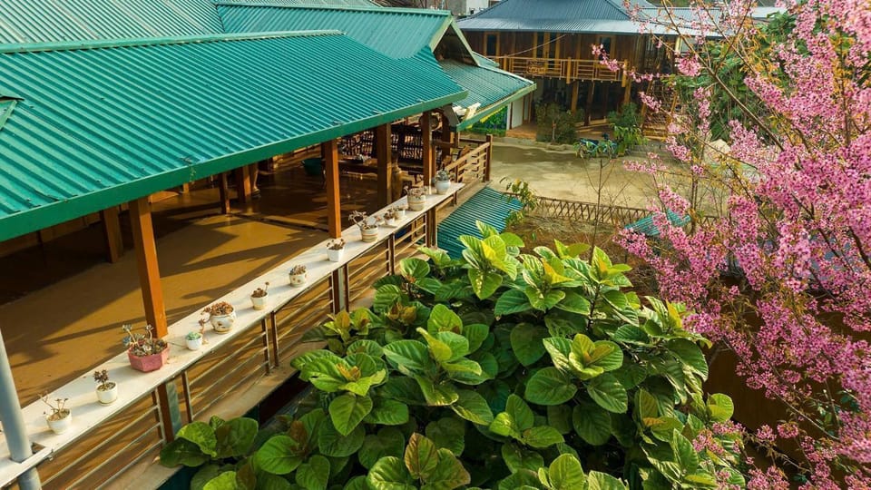 Property building, Bird's eye view