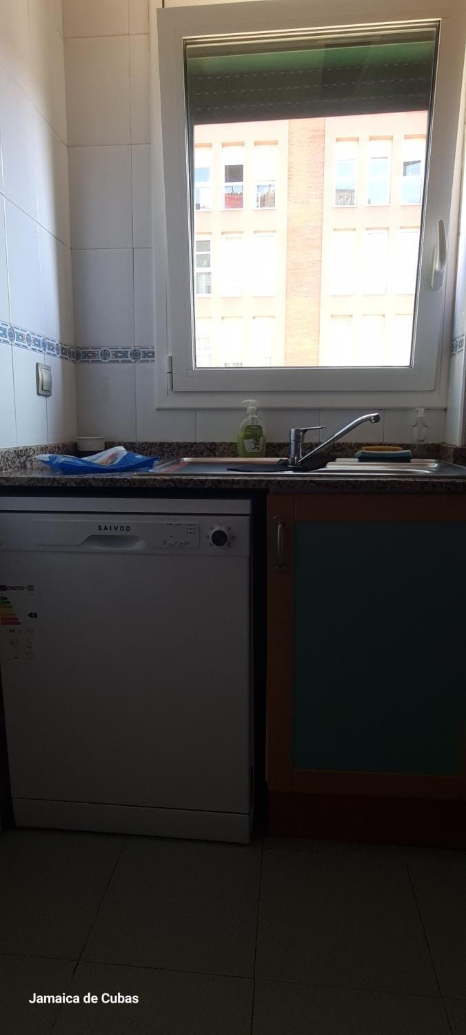 Kitchen or kitchenette, dishwasher