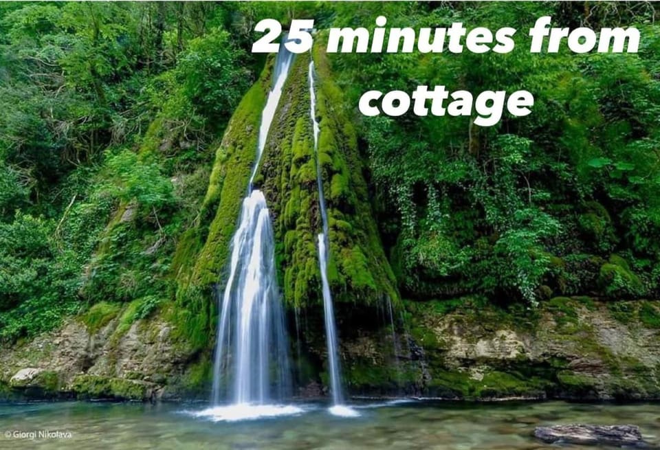 Parna's cottage Apartment in Georgia