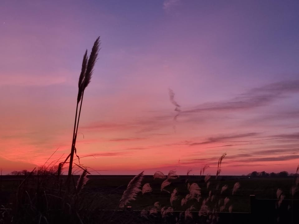 Natural landscape, Sunset