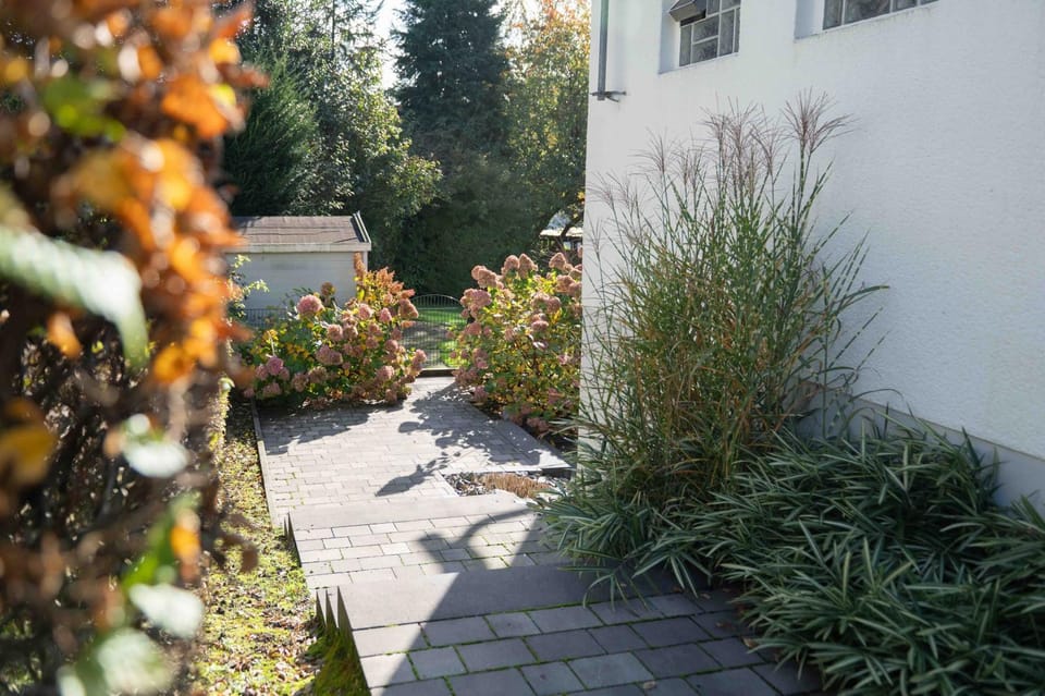 Garden view