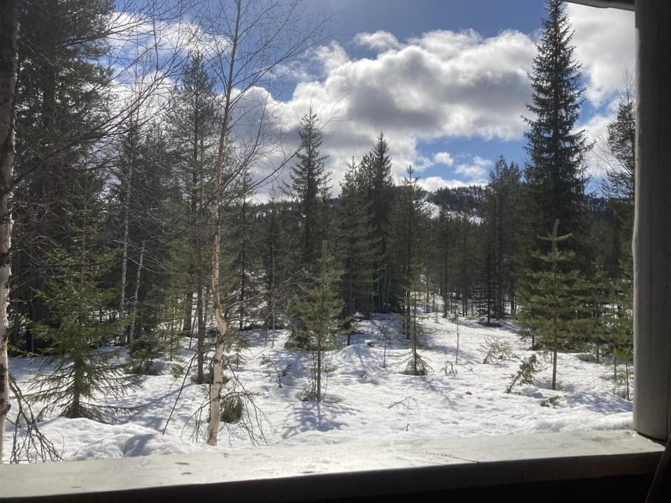 Day, Natural landscape, Winter
