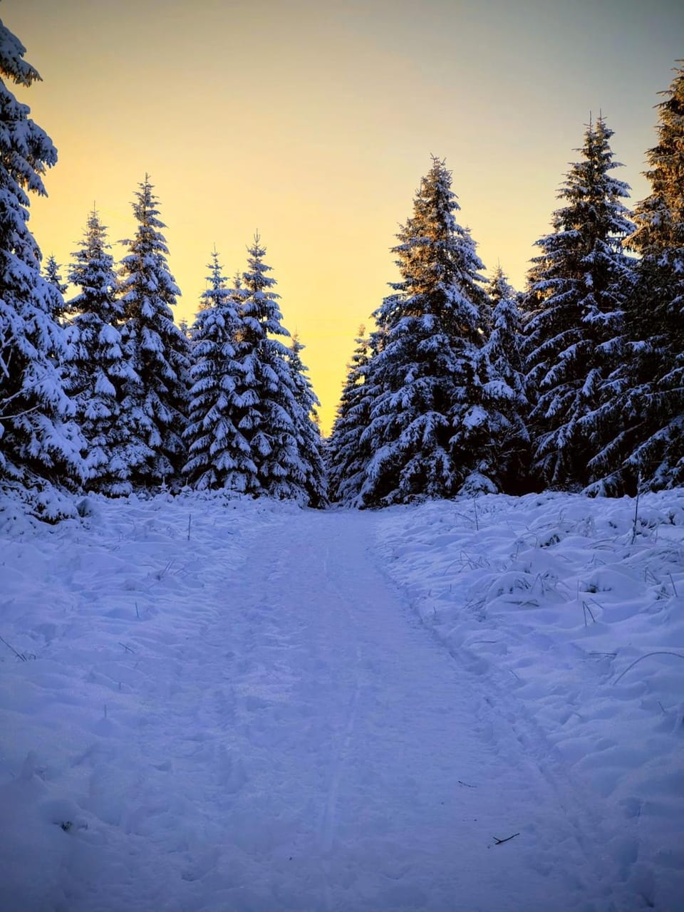 Natural landscape, Winter