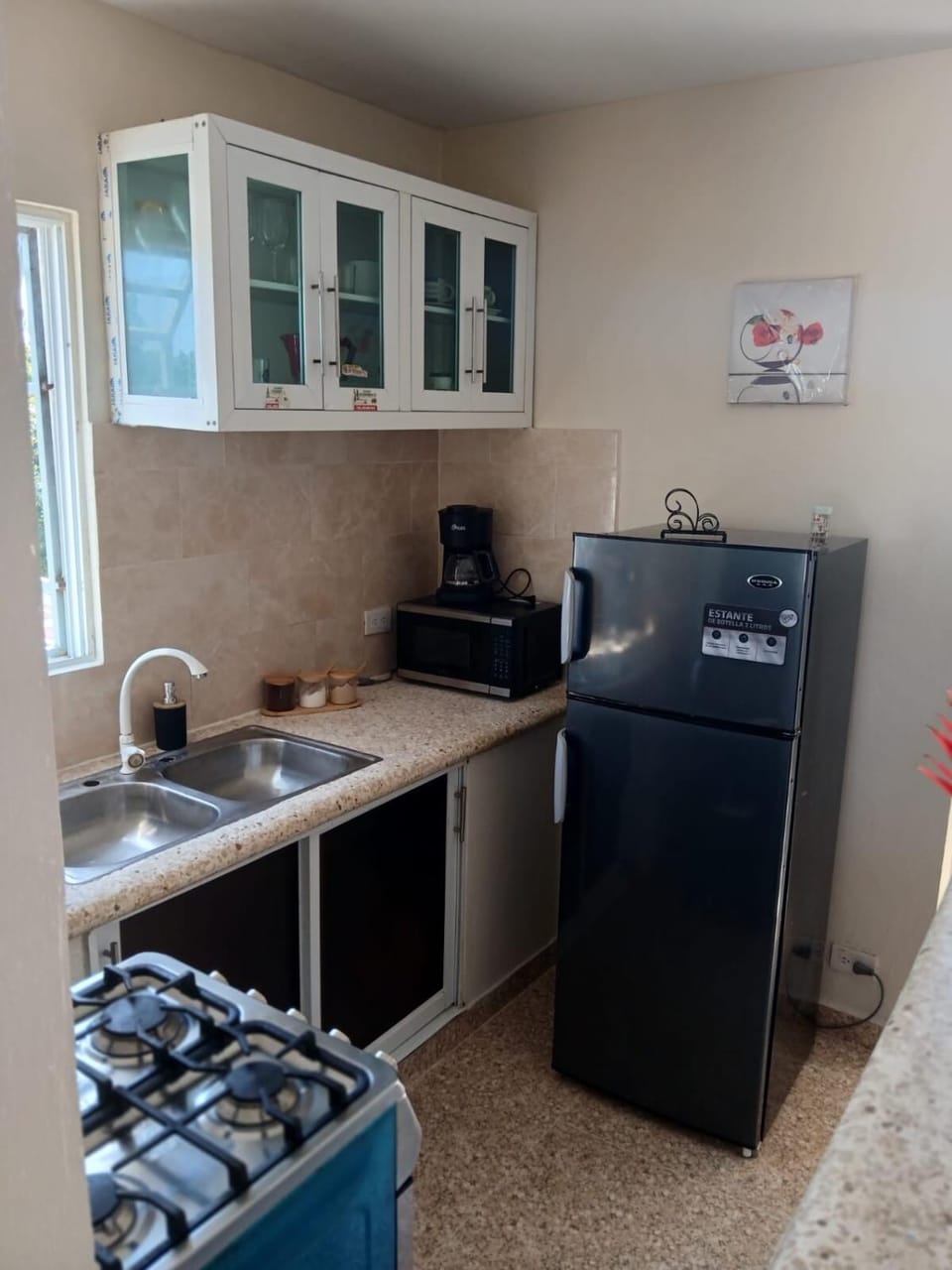 Coffee/tea facilities, Kitchen or kitchenette, oven, pet friendly