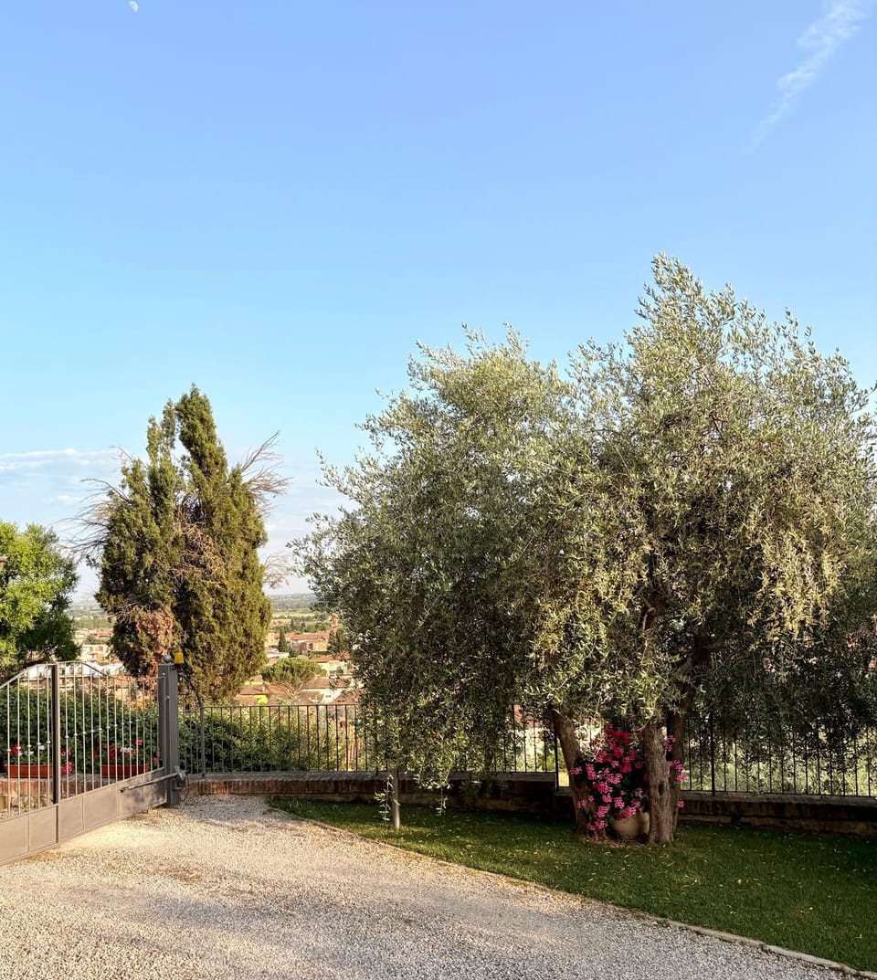 Facade/entrance, Garden