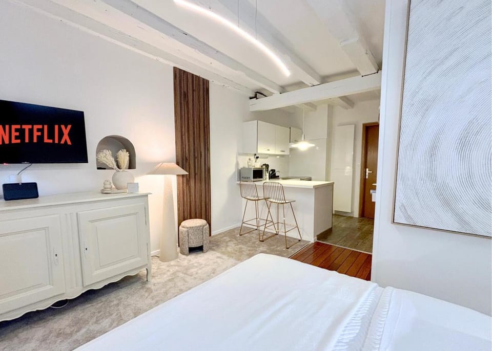 Studio de standing en hyper centre Apartment in Strasbourg