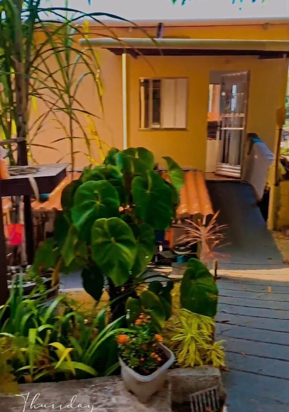 Visão privilegiada Garatucaia House in Angra dos Reis