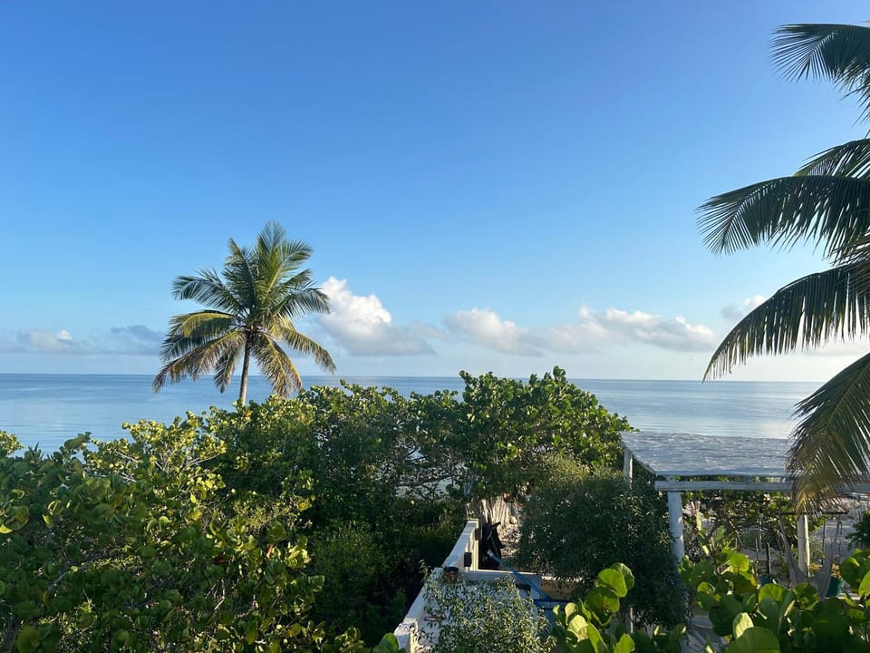 Casa Arsha Beachfront Bed & Breakfast Bed and Breakfast in State of Quintana Roo