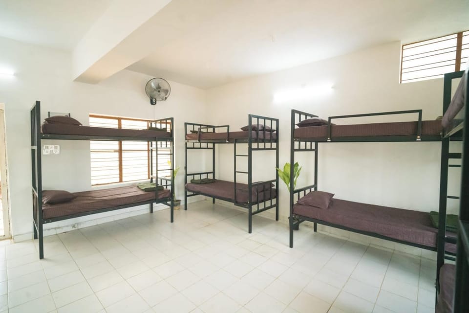 bunk bed